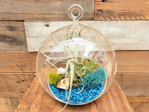 5" Hanging Globe Terrarium