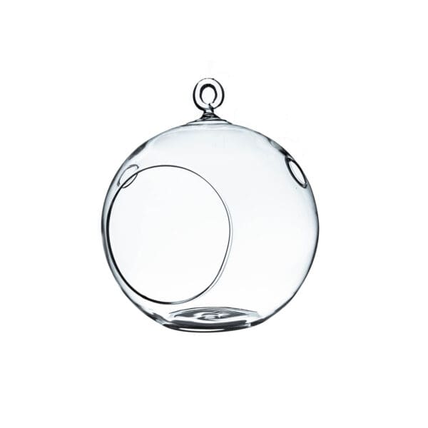 5" Hanging Globe Terrarium - Image 5