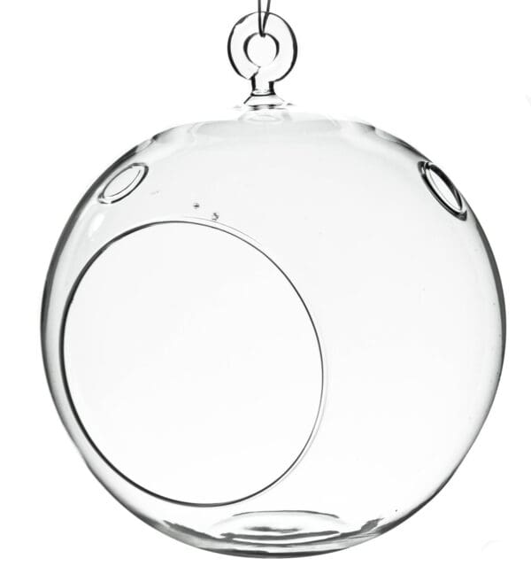 6" Hanging Globe Terrarium - Image 8