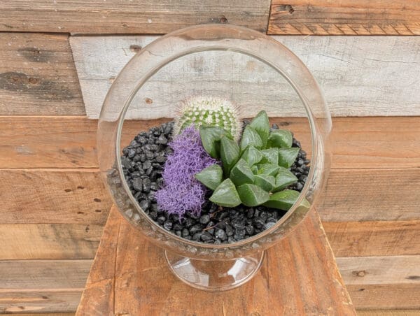 5" Pedestal Terrarium