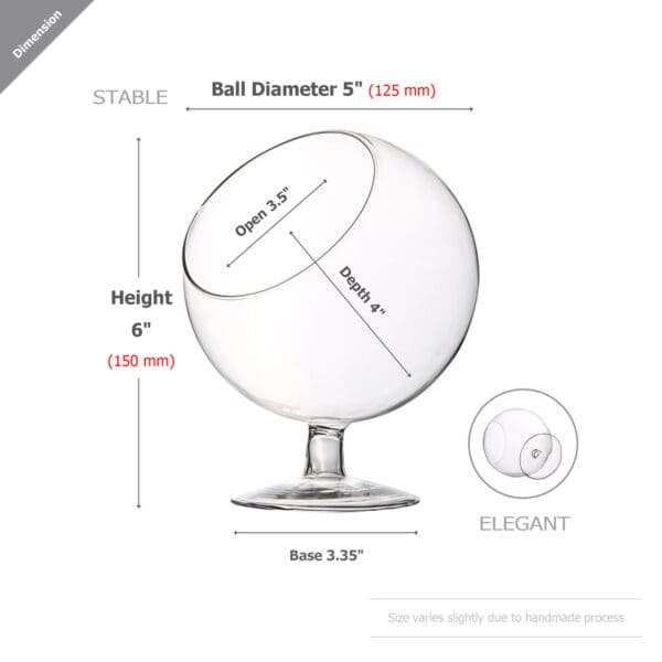 6" Pedestal Terrarium - Image 6