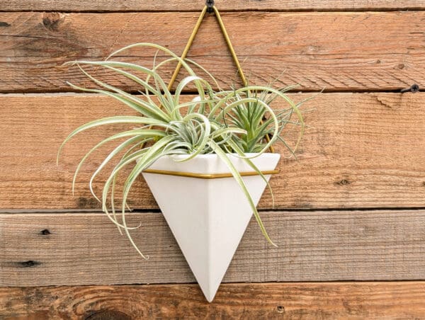 5.5" Hanging Wall Décor Planter, White/Brass