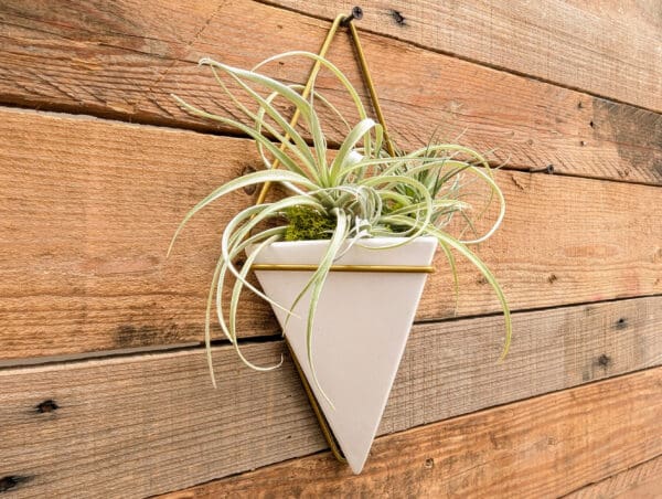 5.5" Hanging Wall Décor Planter, White/Brass - Image 3